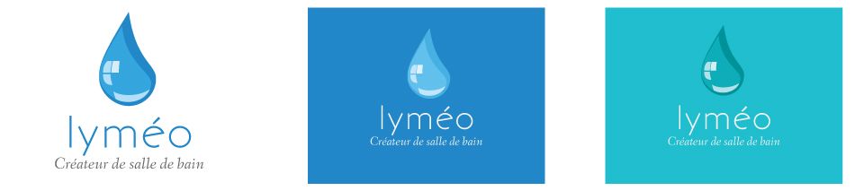 graphiste-webmaster-simonrota-2016-lymeo-13